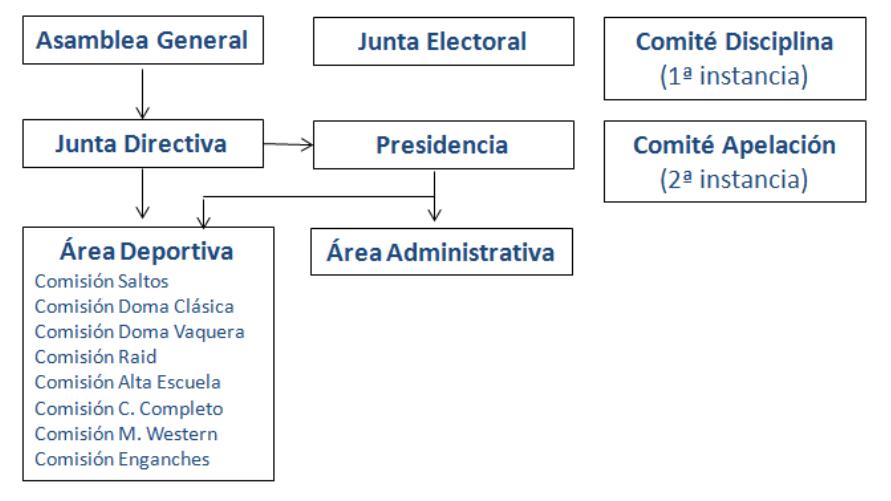 Organigrama FHCV