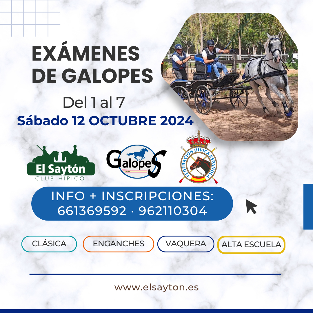 EXAMENES DE GALOES - CH EL SAYTON